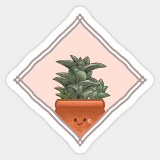 Haworthia Viscosa Succulent in a Rectangle Frame Sticker